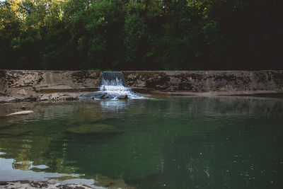 Scenic view of waterfall in forest