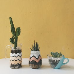 Close-up of potted plant on table