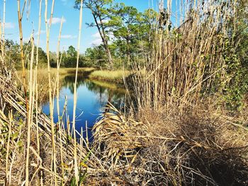 Scenic view of lake against sky
