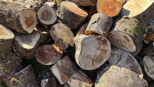 timber