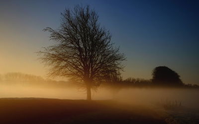 Silhouette bare tree on landscape against sky during sunset