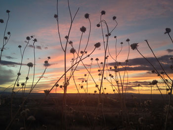 Scenic view of landscape against sky at sunset