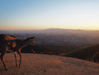 View of a city at sunset