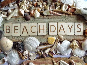 Beach days wooden letters