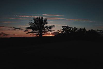 Silhouette trees on landscape against sky at sunset