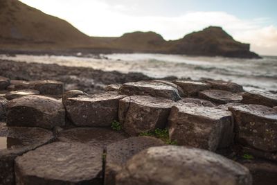 Close-up of stones on shore