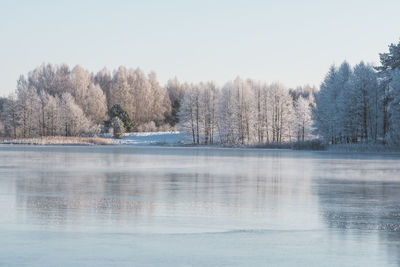 Wonderful winter landscape with frozen lake, reeds, forest with trees covered by frost and snow