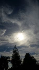 Low angle view of trees against cloudy sky