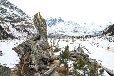 Statue on landscape against sky