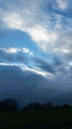 Trees on field against cloudy sky