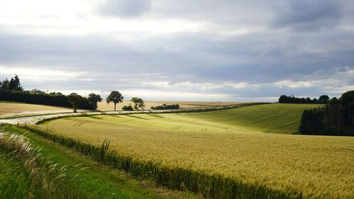 Scenic view of rural  landscape against sky at evening light 