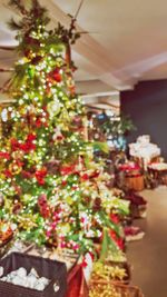 Close-up of christmas tree