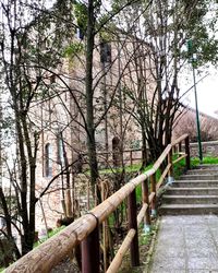 Footpath amidst trees and plants