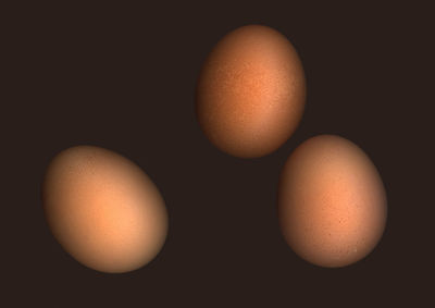 Close-up of eggs against black background