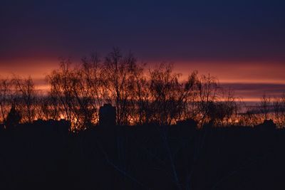 Silhouette bare trees against sky during sunset