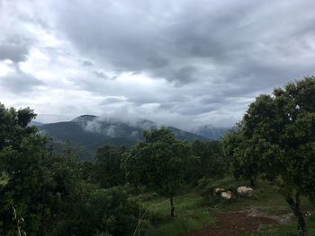 Scenic view of landscape against sky