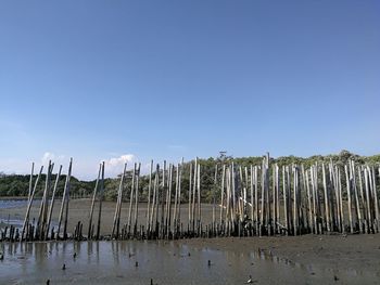 Wooden posts on beach against clear blue sky