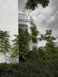 Trees in front of building