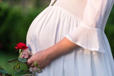 Midsection of pregnant woman standing by rose at park