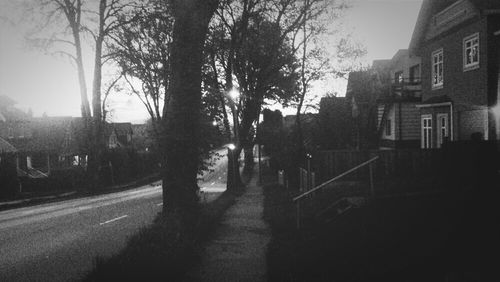 Road along bare trees