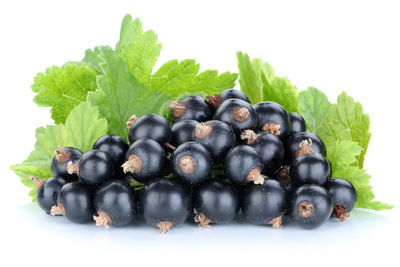 Various fruits in plate against white background