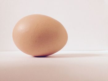 Close-up of object over white background