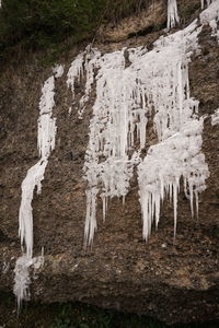Icicles on rocks by land during winter
