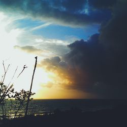 sea