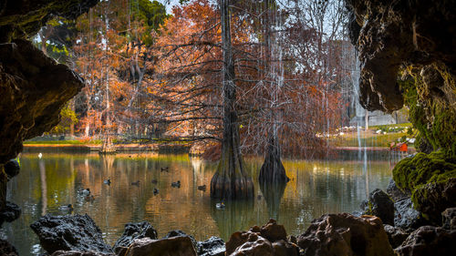 Scenic view of lake in forest during autumn