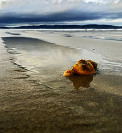 Scenic view of sea against cloudy sky