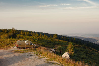 Scenic view of sunkissed pine forest in the mountains 