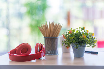 Close-up of potted plant on table