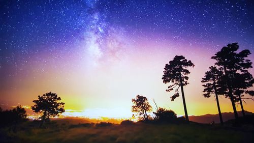 Silhouette trees on field against sky at night