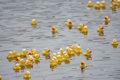 High angle view of yellow floating on water