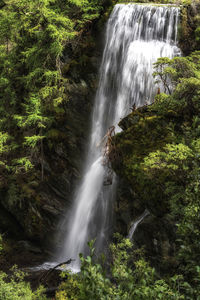 View of waterfall in forest