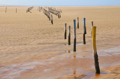 Wooden posts on beach