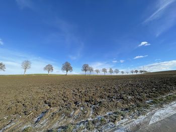 Scenic view of field against blue sky