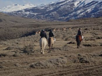 Rear view of man riding horse on field against mountains