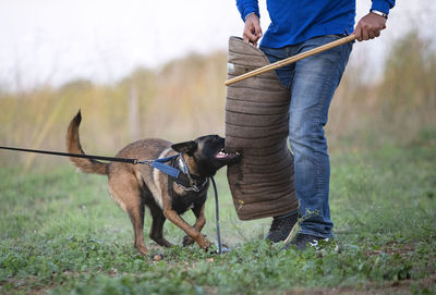 Low section of person with dog on grass