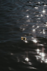 High angle view bottle floating on sea