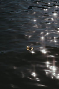 High angle view of swimming in sea