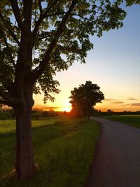 Scenic view of landscape at sunset