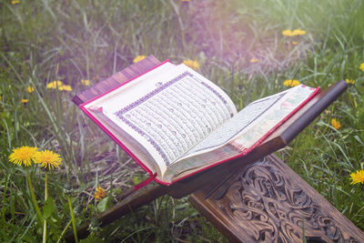 High angle view of books on field