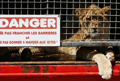 Close-up of red wall