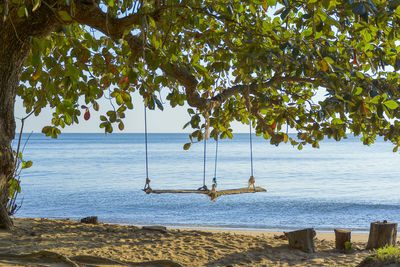 Trees on beach against sky