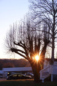 Silhouette tree against sky during sunset