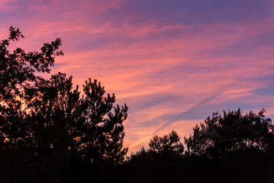 Low angle view of silhouette trees against sky at sunset