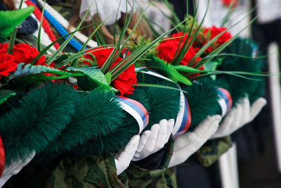 Close-up of multi colored feathers