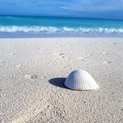 Scenic view of sea shore against sky