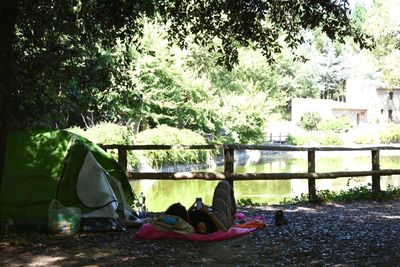 Low section of people relaxing on tree